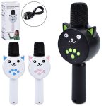 Мікрофон 20см, акум, Bluetooth, FM, MP3, TFслот, USBзарядне, 3 кольори, в кор-ці, 8-20,5-5,5см /35/