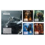Набір зошитів учнівських загальних 1Bересня "Beasts in Focus" лінія, 60 аркушів, 10 штук 768063