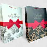 Подарунковий пакет "Merry Christmas" 40х55х15см, набір з 2-х штук bl2502-217