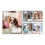 Набір зошитів учнівських Yes "Dog too pup" клітинка, 12 аркушів, 25 зошитів 768731