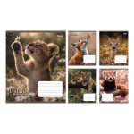 Набір зошитів учнівських 1Bересня "Wildlife is beautiful" лінія, 18 аркушів, 25 зошитів 769145