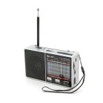Радіоприймач GOLON RX-8866, LED, 2x3W, FM радіо, корпус пластмас, Mix Color, BOX